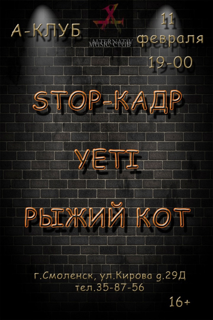 Stop-Кадр - Yeti - Рыжий кот